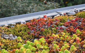 the cost of Stoke Talmage green roof installation