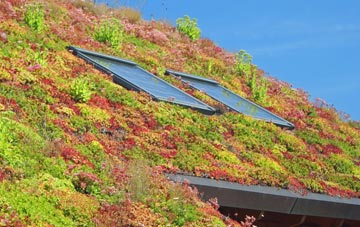 Stoke Talmage living roof systems
