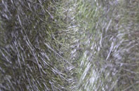 Stoke Talmage fibreglass roof work